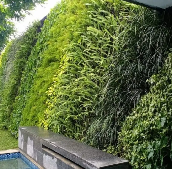 tanaman vertical garden_1